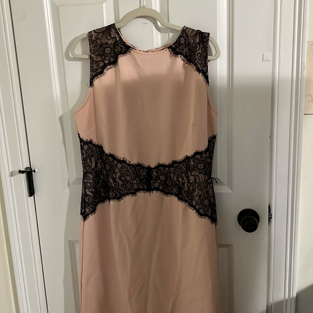Brand New New York And Company Pink And Black Lace Dress